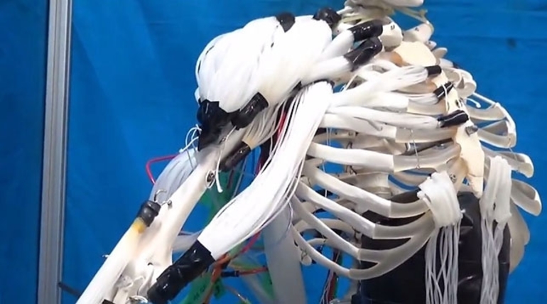Японские роботизированные скелеты обрастают мышцами