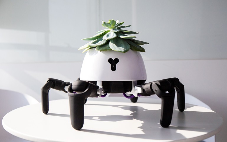 Робот который имитирует поведение растений